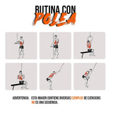 Adaptación Polea Recta Regol