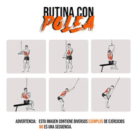 Adaptación Polea Recta Regol