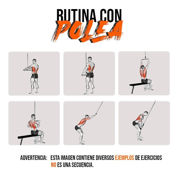 Adaptación Polea Recta Regol - vista secundaria