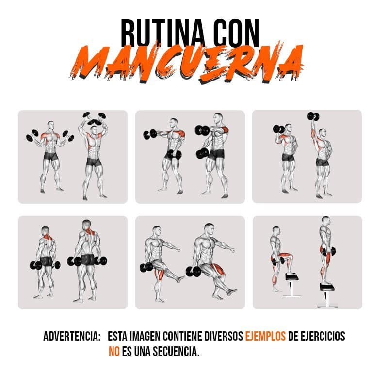 Barra Mancuerna 35CM  Wonder 1Pcs