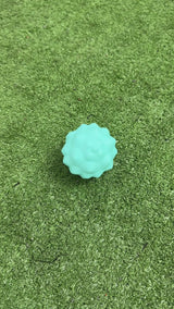 Pelota Masajeadora Wonder GSP-3379