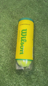 Pelota Tenis Campo Wilson Championship